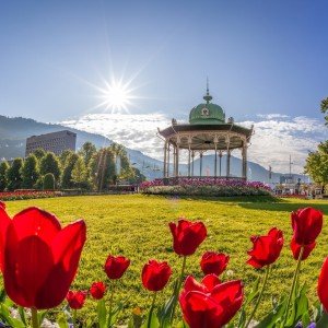 Landausflug: Bergen die ultimative Stadtrundfahrt